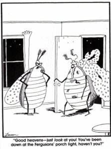 The Far Side moth cartoon