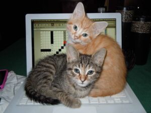 Two kittens sit on the keyboard of a laptop computer that has a crossword on the screen