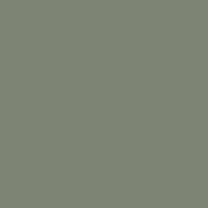 A sample of sage green paint